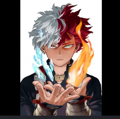 Profile image of Todoroki