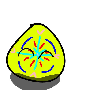 Profile image of Creatorball