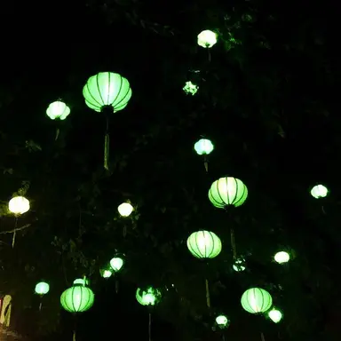Profile image of 緑仙