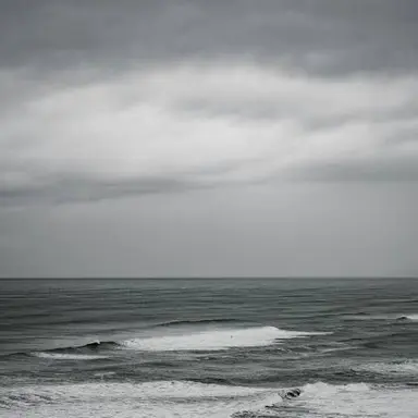 Profile image of 坂本