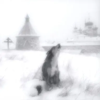 Profile image of Mrs.Wolf