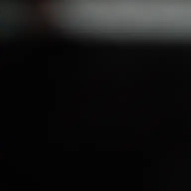 Profile image of 베일리