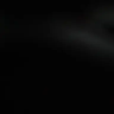 Profile image of 우찬