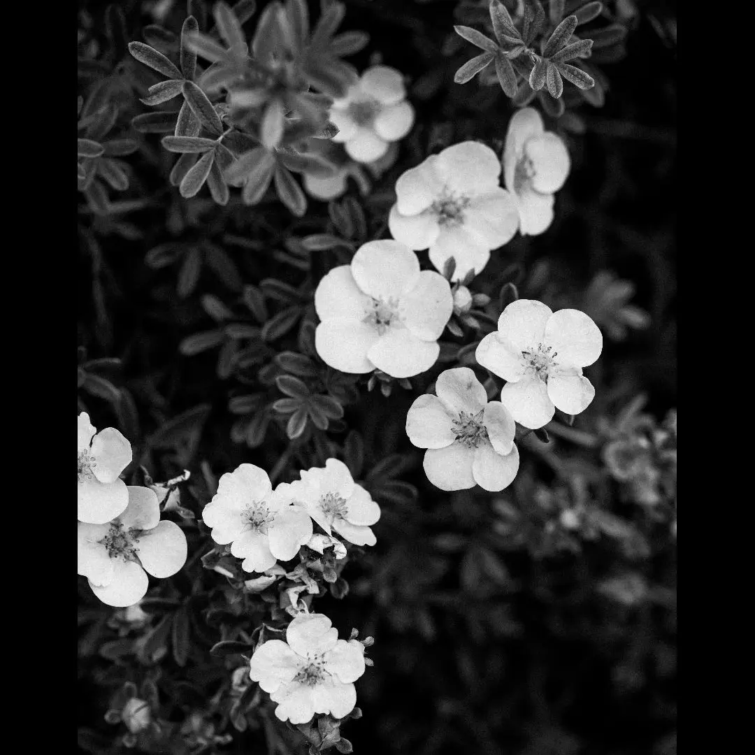 juhs7744의 유진석 [BL]