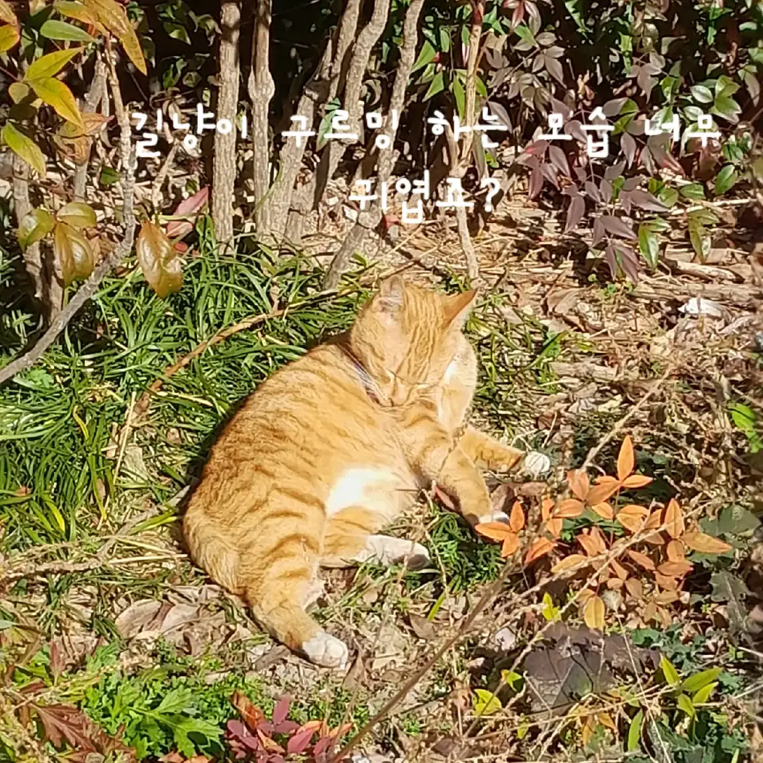 BroadJuicy9793의 박성진,당신