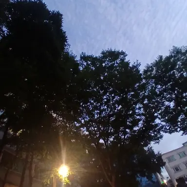 Profile image of 데플