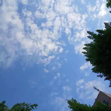 Profile image of 헤일
