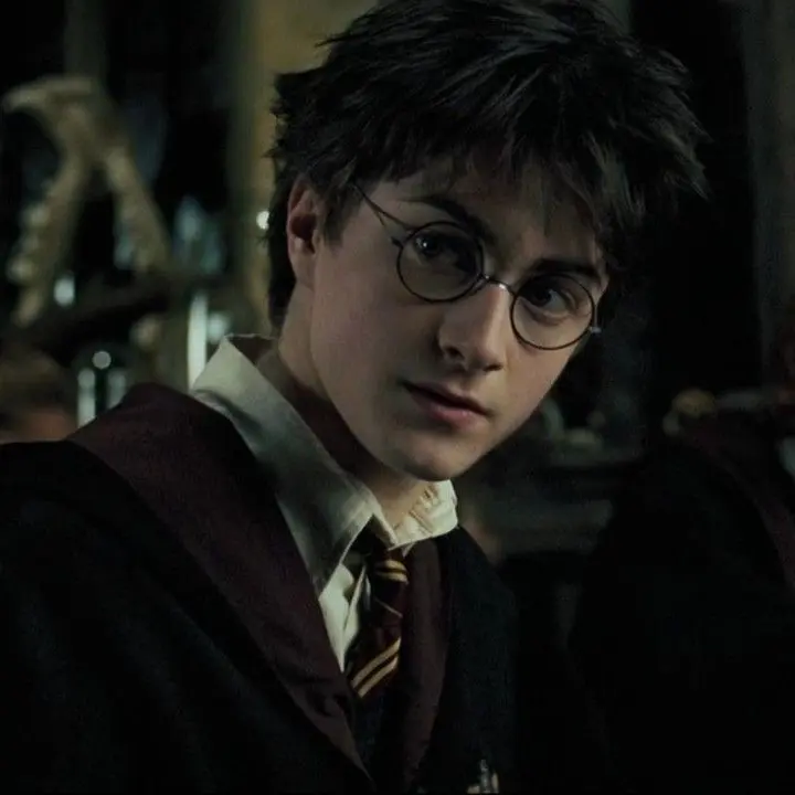 Lalalalooloo의 Harry's Potions Partner