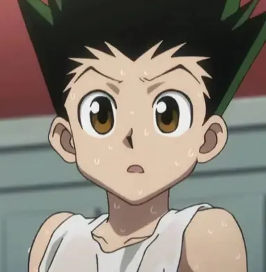 Profile image of Gon Freecss