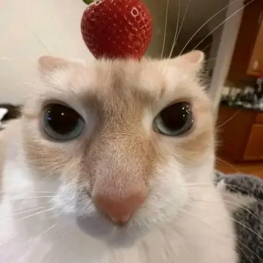 Profile image of Gay larry