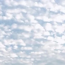 코치님