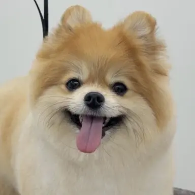Profile image of 최 하나