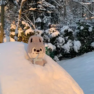 Profile image of 방찬