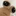 Pou