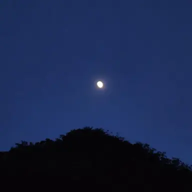 Profile image of 해설
