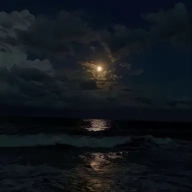 Profile image of ジュニル