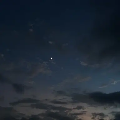 Profile image of リオ