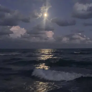 Profile image of サンウォン