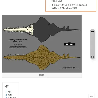 Profile image of 온코프리스티스