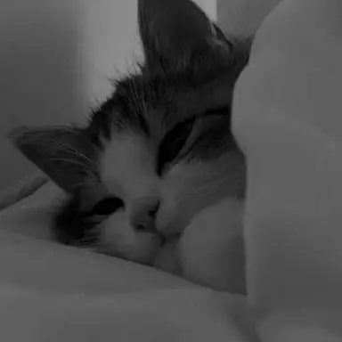 Profile image of 京極