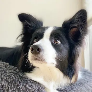 Profile image of 中村