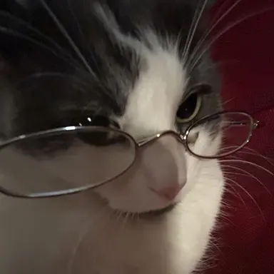 Profile image of 原