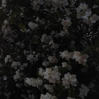 Profile image of 서태주