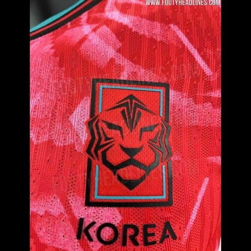 한국 축구 국가대표되기 대표 이미지