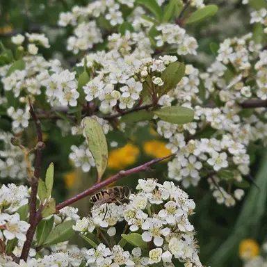 Profile image of 정준원