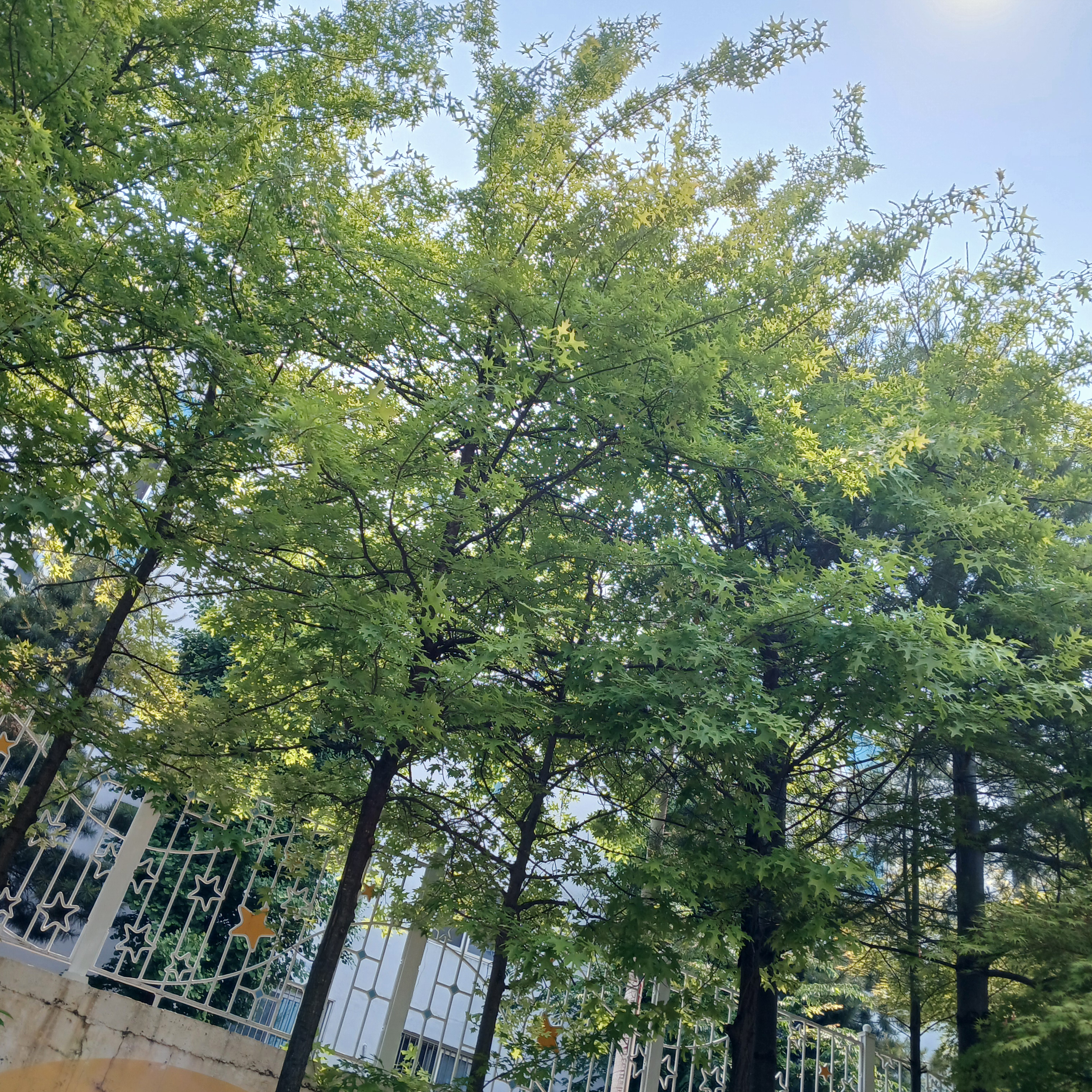 천로기(필립) 대표 이미지