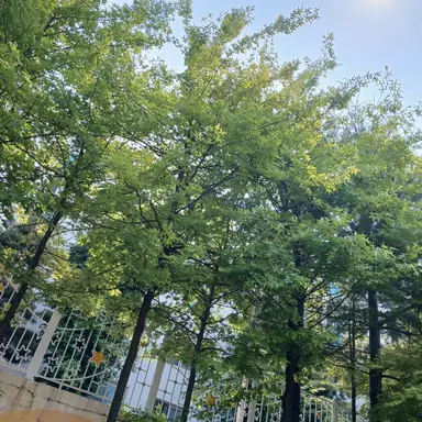 Profile image of 필립