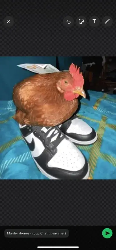 CloseRadio0186의 Roblox Forsaken gc