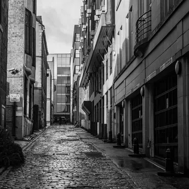 Profile image of 한현호