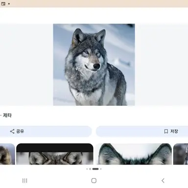 Profile image of 늑대