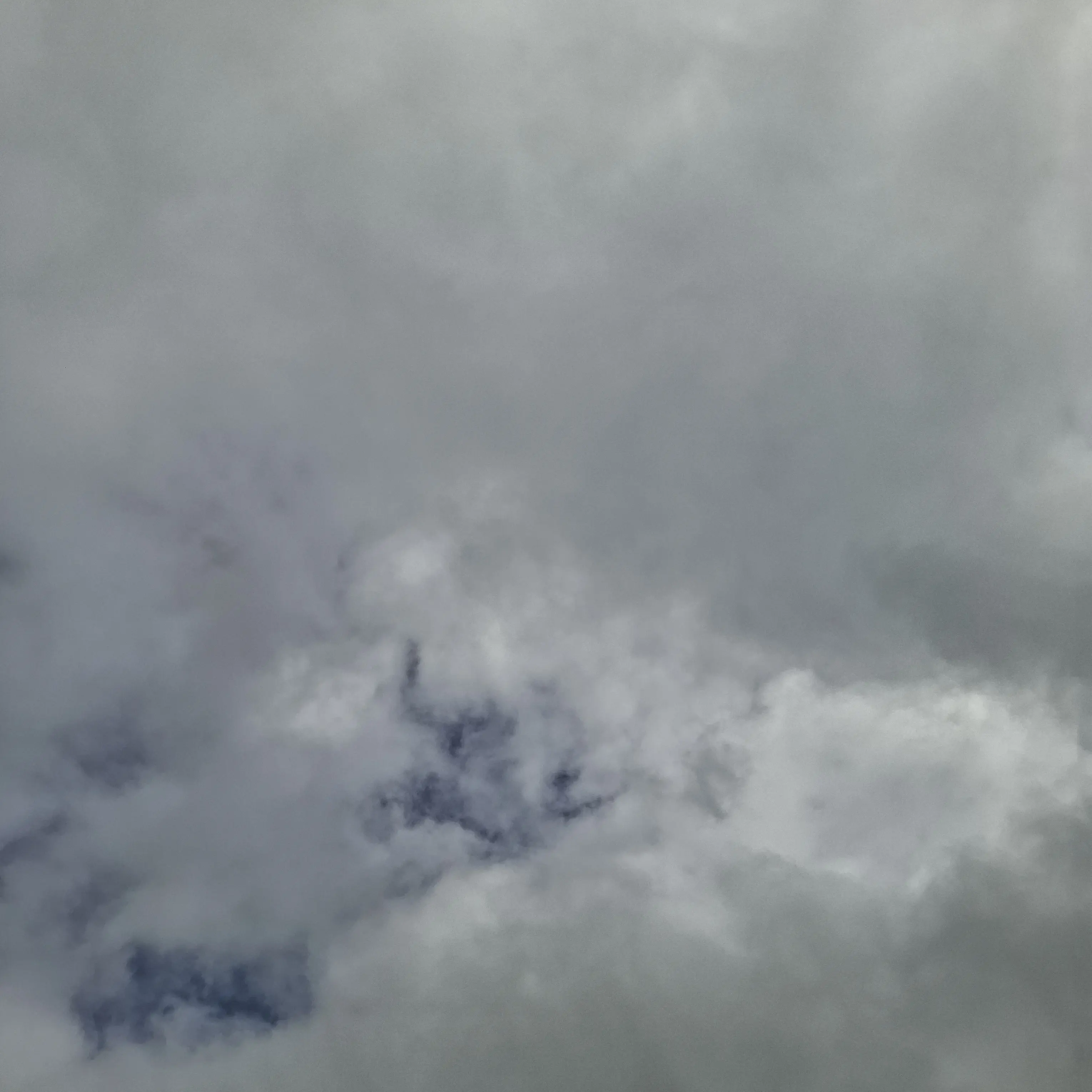 HUMAN_0909의 친오빠 C