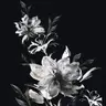 Profile image of 月詠