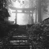 Profile image of 徳川茂茂