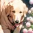 ポチ