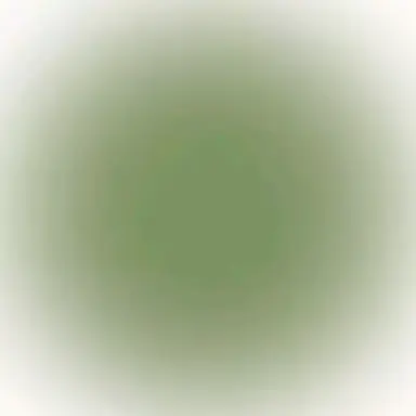Profile image of 大橋和也
