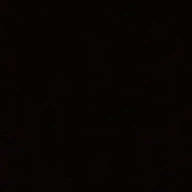 Profile image of ターコ