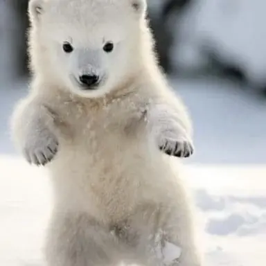 Profile image of そる