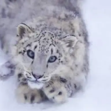 Profile image of みんぐ