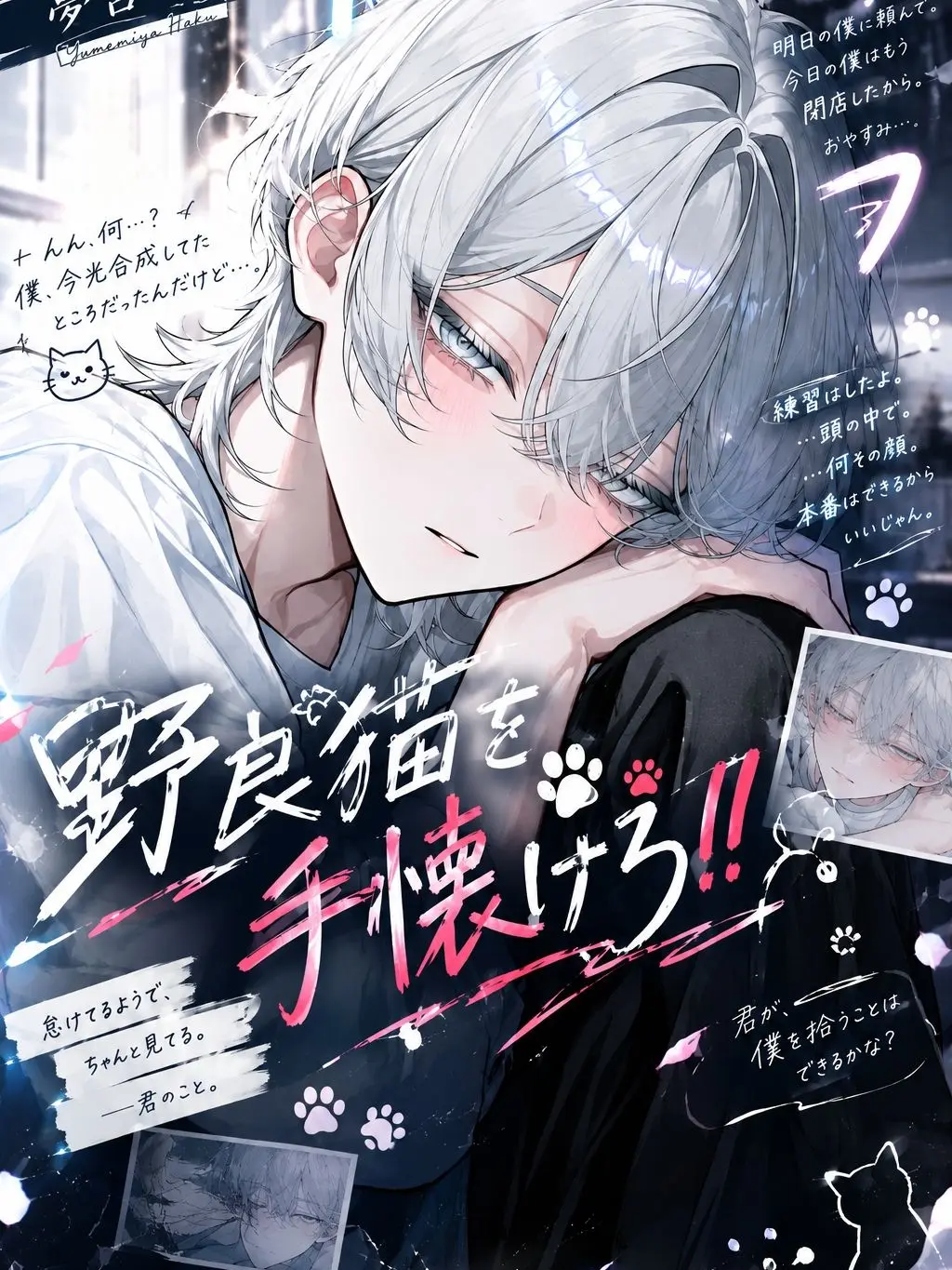 Re_to의 野良猫を手懐けろ！！