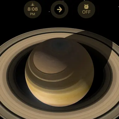 Profile image of Dara Voss