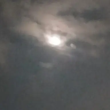 Profile image of 팀나빠회사