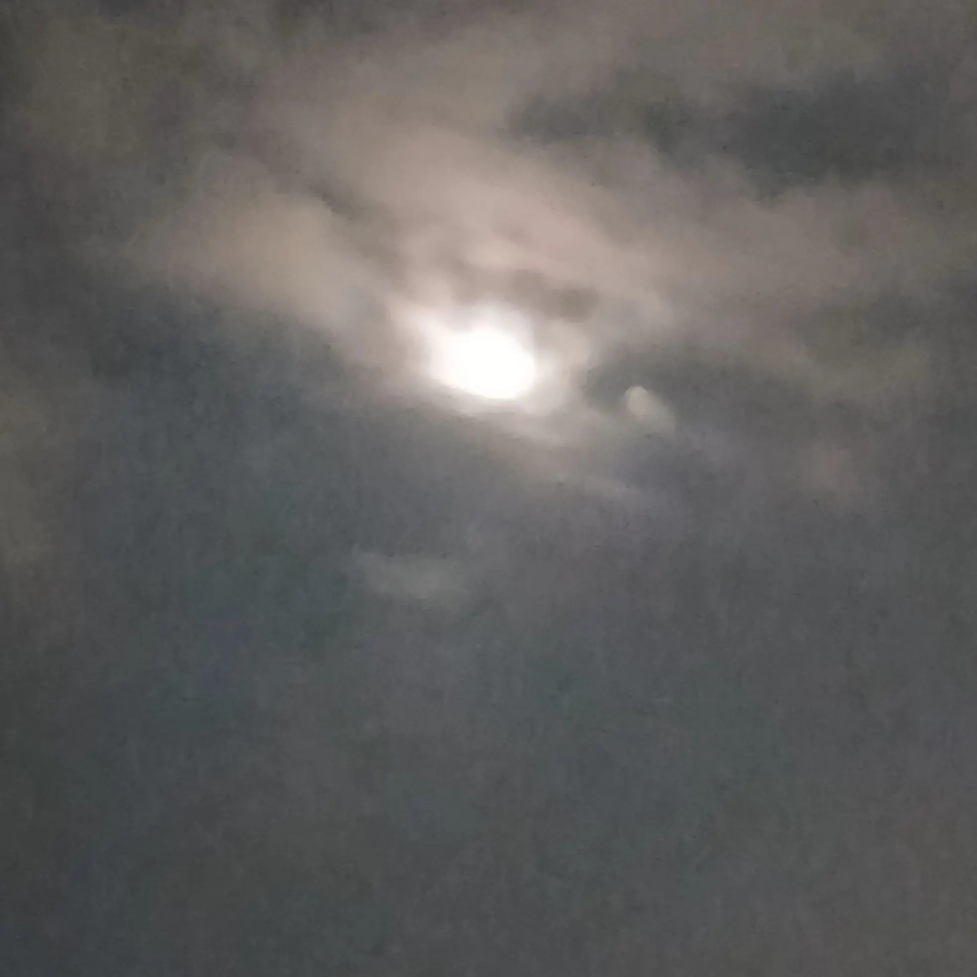 Heywmc18의 팀나빠회사+늑대