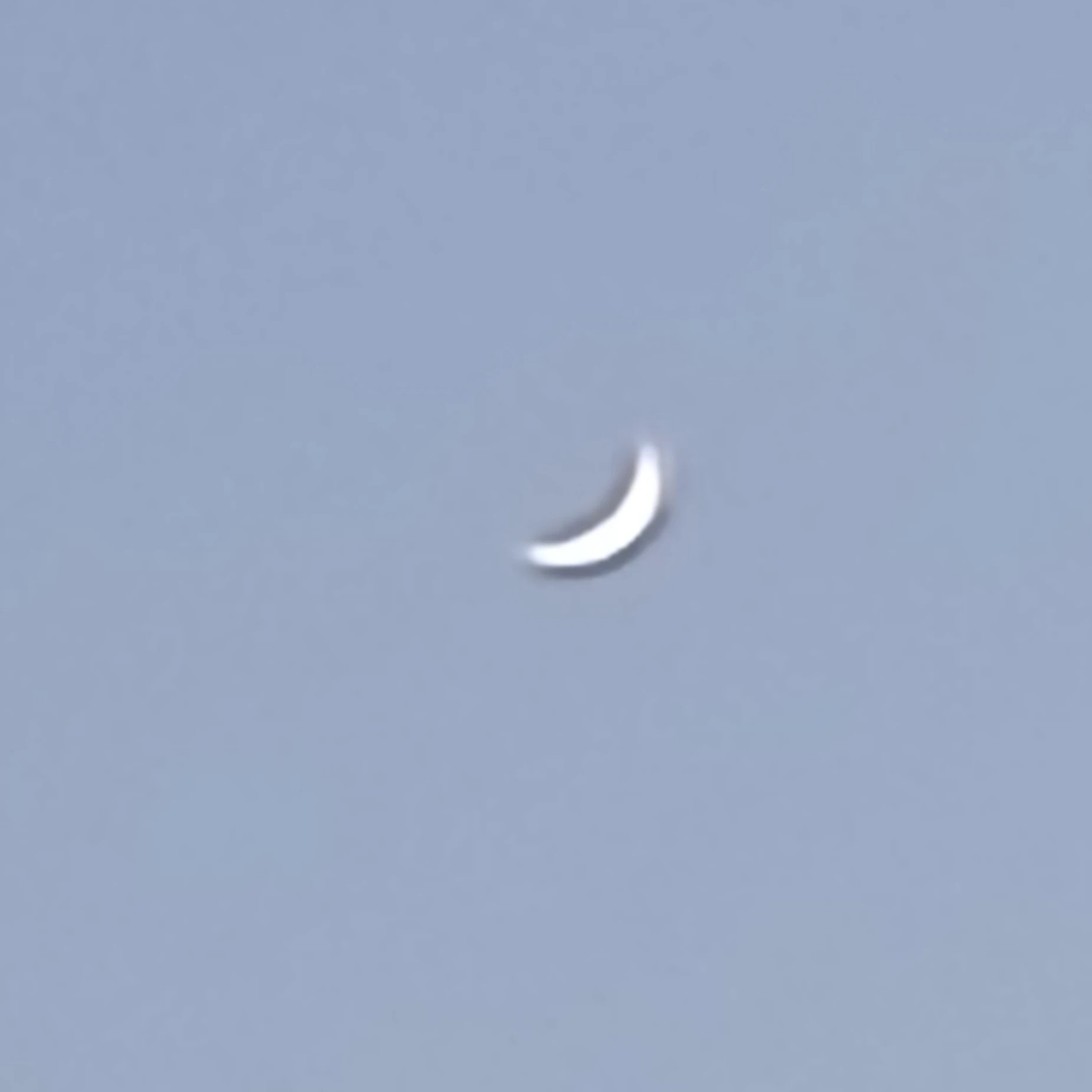 김여우