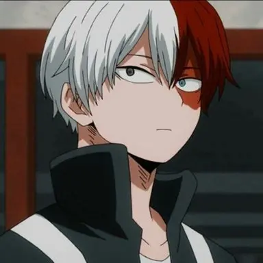 Profile image of Shoto Todoroki