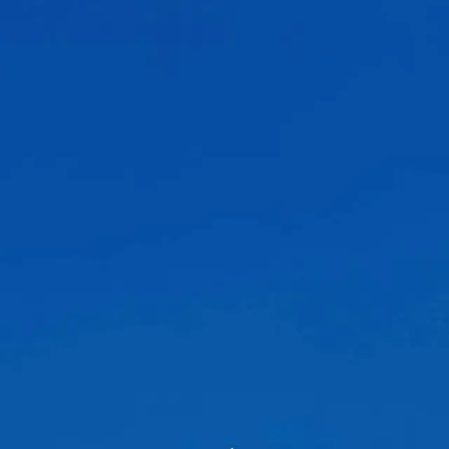 BlandChain8524의 🐈‍⬛