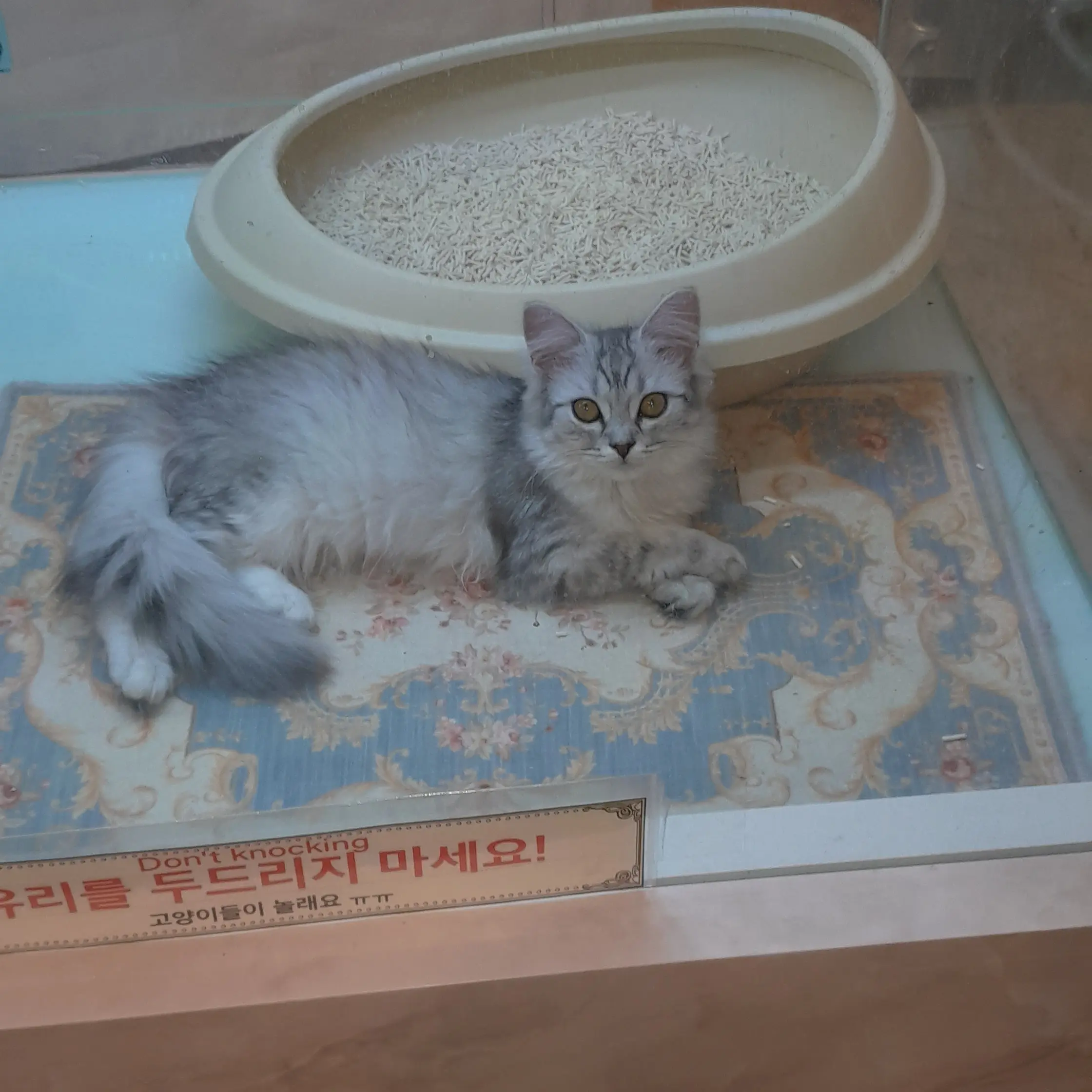 ProudBooby9754의 급식왕
